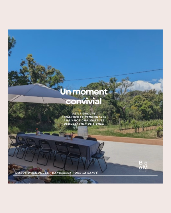 Art & Vin au cœur des vignes Une expérience créative unique à Sainte-Maxime