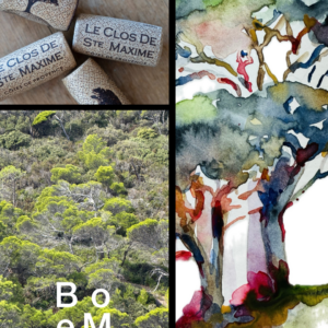 Vivez une expérience œnotouristique unique à Sainte-Maxime : dégustation de vins et atelier artistique sur bouteille au Clos de Sainte-Maxime. Découvrez une activité originale dans le Golfe de Saint-Tropez : dégustation de vins et atelier créatif au Clos de Sainte-Maxime.