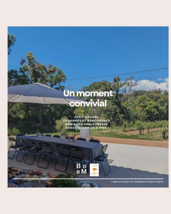 Parenthèse Art & Dégustation au vignoble 69€