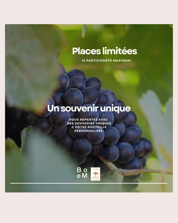Parenthèse Art & Dégustation au vignoble 69€