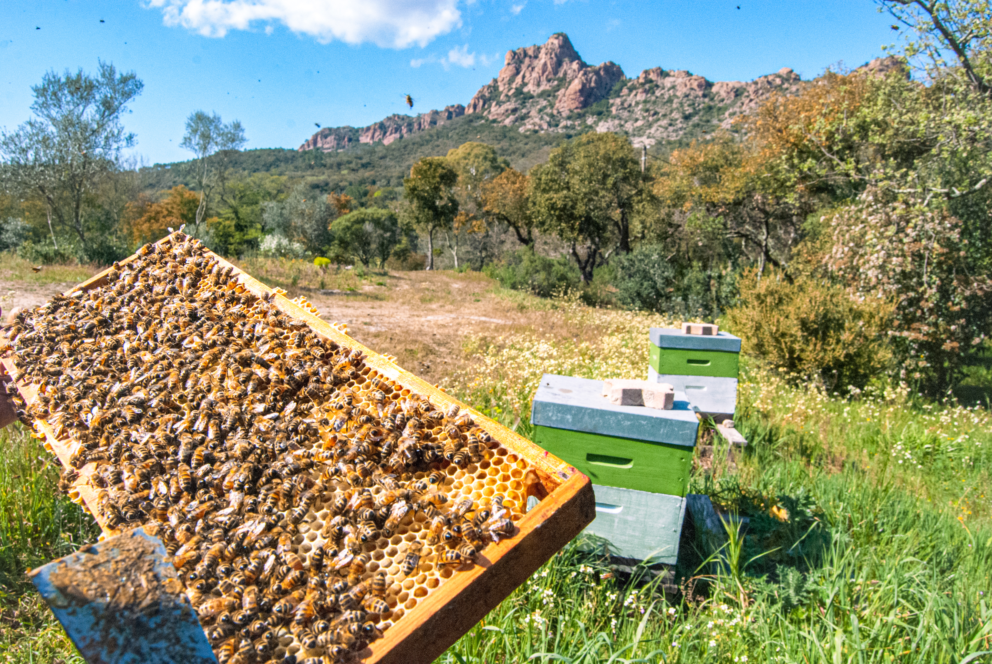 L’art au service de vos événements